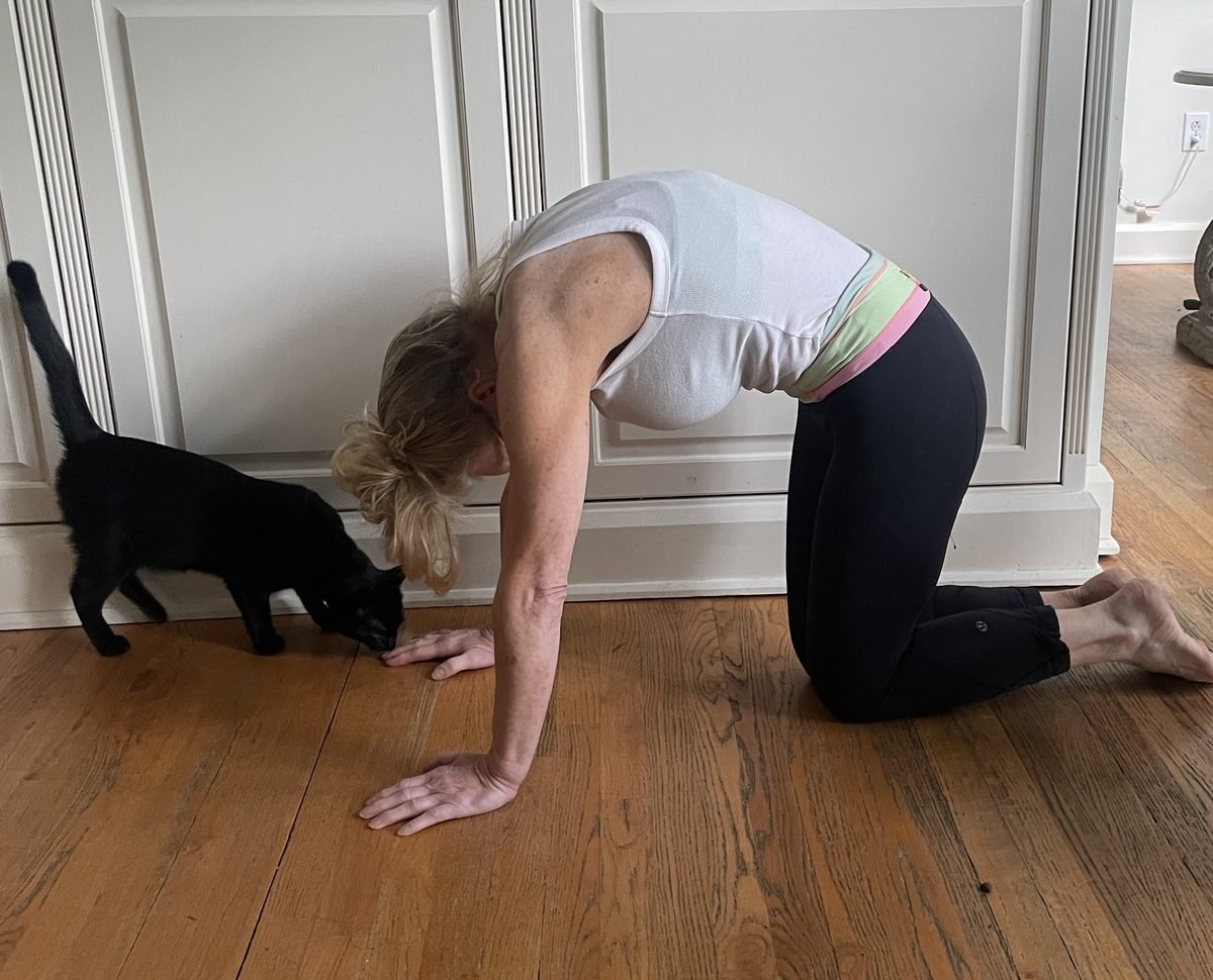 Woman demonstrating cat-cow stretch with her cat copying the pose